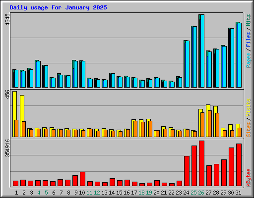 Daily usage for January 2025