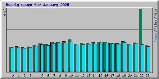 Hourly usage for January 2020