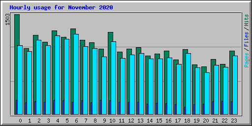 Hourly usage for November 2020