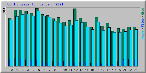 Hourly usage for January 2021