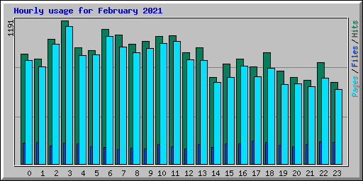 Hourly usage for February 2021