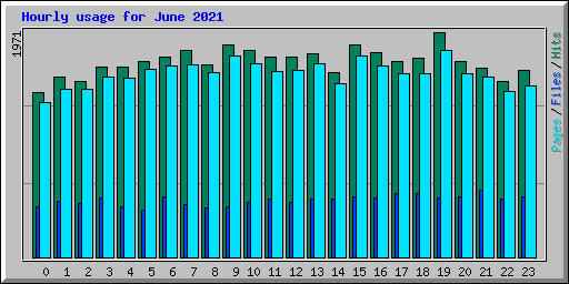 Hourly usage for June 2021