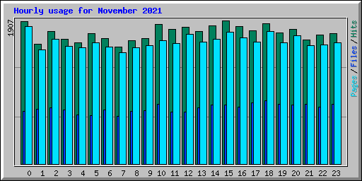 Hourly usage for November 2021