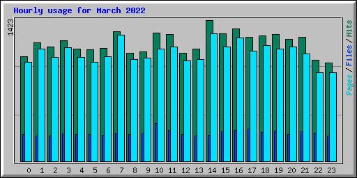 Hourly usage for March 2022