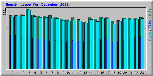Hourly usage for December 2022