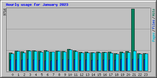 Hourly usage for January 2023