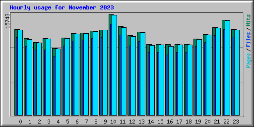 Hourly usage for November 2023