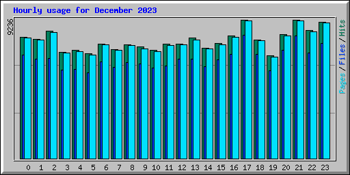 Hourly usage for December 2023