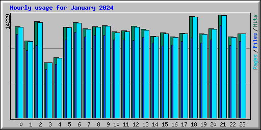 Hourly usage for January 2024