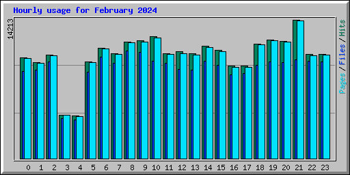 Hourly usage for February 2024