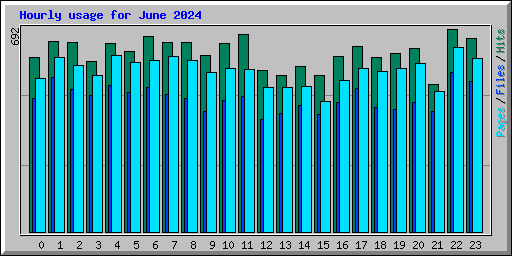 Hourly usage for June 2024