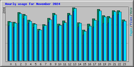 Hourly usage for November 2024