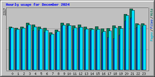 Hourly usage for December 2024