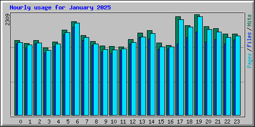 Hourly usage for January 2025