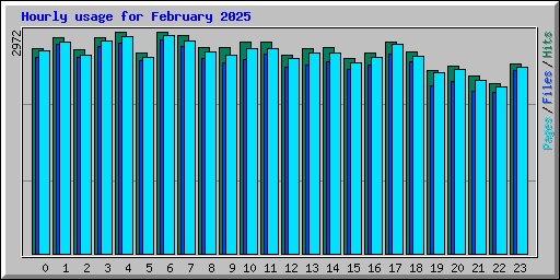 Hourly usage for February 2025