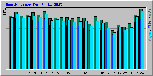 Hourly usage for April 2025