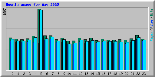 Hourly usage for May 2025