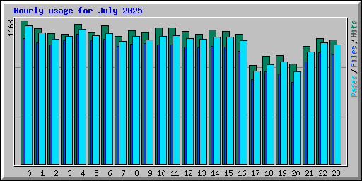 Hourly usage for July 2025