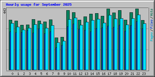 Hourly usage for September 2025