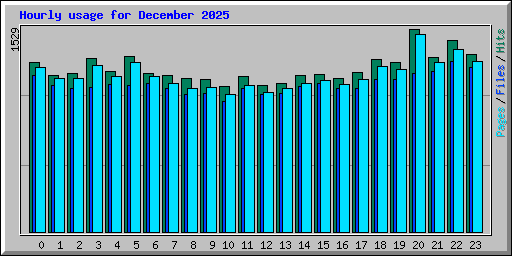 Hourly usage for December 2025