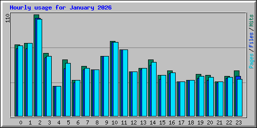 Hourly usage for January 2026
