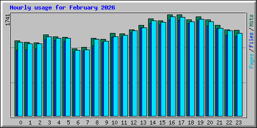 Hourly usage for February 2026