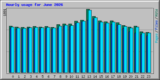 Hourly usage for June 2026