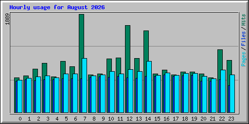 Hourly usage for August 2026